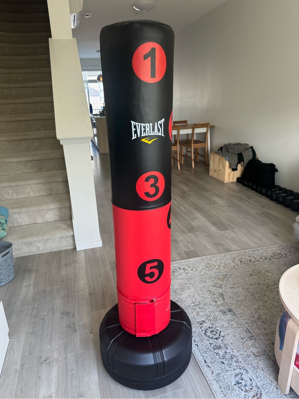 Everlast Black and Red Standing Punching Trainer